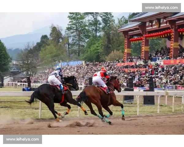 大理四季户外：骑行策马划艇逐风